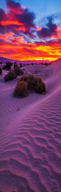 the sun is setting over some sand dunes