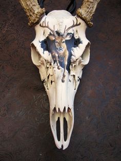 an animal skull with horns and antlers on it