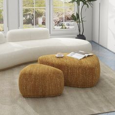 a living room filled with furniture and a large plant in the middle of the room