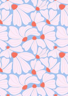 a blue and pink background with white flowers