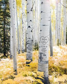 the trees have been painted with pictures of animals and hearts on them in the woods