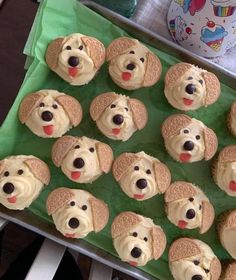 Hello, Yummy Cake Puppy, Kids Cupcakes, Dog Cupcake, Puppy Cupcakes, Dog Cupcakes, Puppy Birthday Parties, Dog Birthday Cake, Animal Cupcakes, Dog Cakes