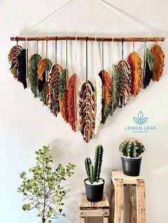 an assortment of feathers hanging on a wall next to two potted cacti