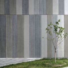 a small tree sitting in the middle of a grass covered field next to a building