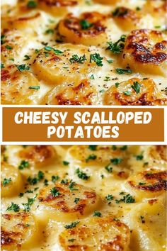 cheesy scalloped potatoes with parsley on top and in the middle