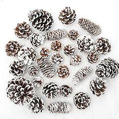 pine cones are arranged in a circle on a white surface