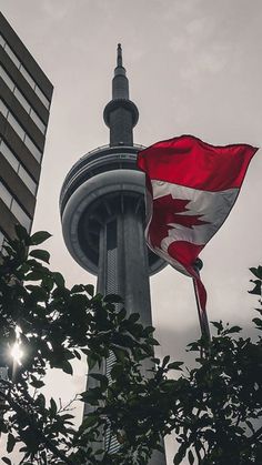 the canadian flag is flying high in the sky next to some tall buildings and trees