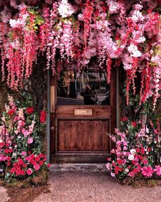 pink and red flowers are growing on the outside of a building with a wooden door