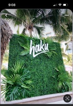 a green wall with the word haku written on it and palm trees in the background