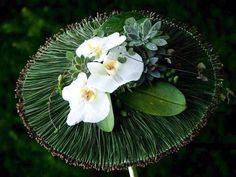 some white flowers and green leaves on a stick