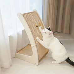 a black and white cat standing on its hind legs next to a scratching board with a key hanging from it