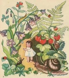 Garden Illustration Art Drawings, Classic Childrens Books Illustrations, Garden Design Drawing, Fairytale Drawings, Illustration Fairytale, Fairy Illustration, Storybook Art, Garden Illustration, Childrens Books Illustrations