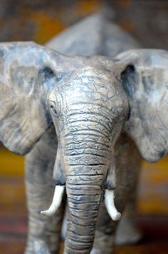 an elephant with tusks standing in front of a wall