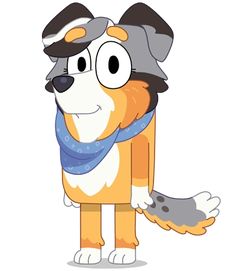 an orange and white dog wearing a blue scarf