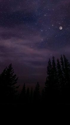 the night sky is filled with stars and trees