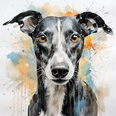 A3 Print Majestic." Print Watercolour.Greyhound art,Greyhound print,Greyhound watercolour,Greyhound wall art,Greyhound home decor,Greyhound art decor Watercolour Greyhound, Watercolour Dogs, Whippet Greyhound, Dog Line Drawing, Grey Hound, Dog Drawings, Paint Your Pet, Aquarelle Art, Greyhound Art