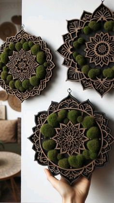 three circular wooden ornaments with moss growing on them, hanging from the wall in a living room