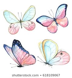 watercolor drawing of four butterflies on white background, each with different colors and size