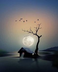 a tree with birds flying over it in front of a full moon and some water