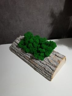 a piece of wood that has some green plants on it