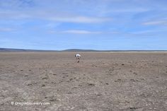 a person in the middle of an open field with no grass on one side and mountains in the background