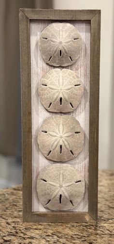 three sand dollars are in a frame on a counter top, and there is an image of four sand dollar's