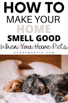 two small dogs laying on top of a bed with the words how to make your home smell good when you have pets