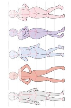 an image of different body types