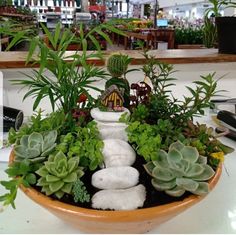 a bowl filled with plants and rocks on top of a table