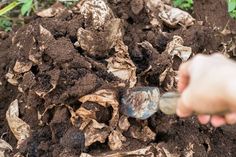 a person digging dirt with a shovel in their hand