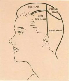 Hairstyles Basic, 1940 Hair, Section Hair, Hair Parts, Hair Parting, Retro Updo, Vintage Hairstyles Tutorial