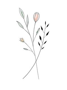 a drawing of some flowers on a white background