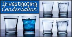 four shots of blue liquid in glasses with the words investigating condensation on them