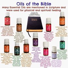 Oils Of The Bible, What Are Essential Oils, Anointing Oil, Young Living Essential Oils Recipes, Essential Oils Guide, Oil Remedies, Essential Oils Health, Essential Oil Blends Recipes, Yl Essential Oils