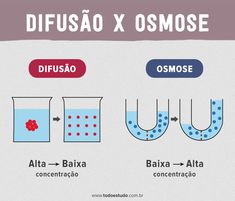 different types of liquids and their names in spanish, with the words diffusao x osmose