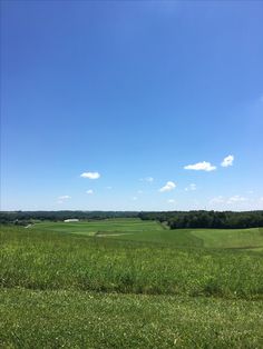 an open field with lots of grass and trees in the distance on a sunny day