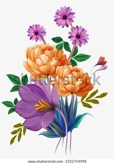 colorful flowers with green leaves on a white background stock photo royaltyvectors and