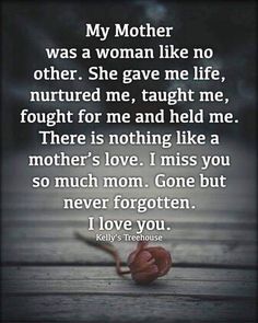 a quote that reads, my mother was a woman like no other she gave me