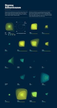 an info sheet showing the various types of lights in different shapes and sizes, with text below