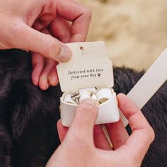 A leather ring pouch designed especially for your dog to carry down the aisle! Available in four colours, personalised with your wedding date or initials. Perfect for your four-legged ring bearer or the “Best Dog” in your wedding party, our leather wedding ring box features a secure brass clasp on the back so it can be securely attached to your dog’s wedding collar or harness. Each pouch is also carefully handcrafted with a divider section in the middle to keep your wedding rings safe inside. Th Dogs As Ring Bearers, Dog Carrying Wedding Rings, Wedding Ideas For Dogs, Dog Wedding Ring Bearer, Animals At Weddings, Ring Bearer Dog Ideas, Best Dog Wedding, Wedding Dog Ring Bearer, Dog As Ring Bearer