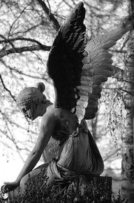 black and white photograph of an angel sitting on top of a tree stump in the woods