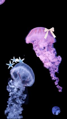 three jellyfish are swimming in the water