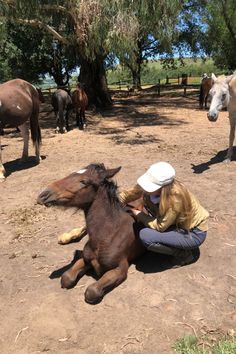 Volunteering with horses in Africa Horse Riding Holiday, Riding Holiday, Job Inspiration, Different Countries, Future Life, Hiking Trip