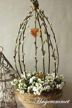 a birdcage filled with white flowers on top of a table