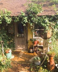 a small shed with lots of plants growing around it