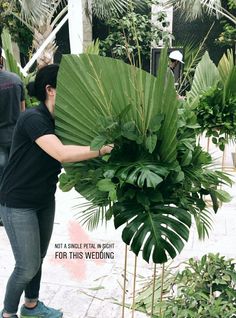 a woman holding a large green plant in her hands