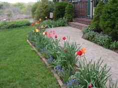 colorful flowers line the edge of a garden bed in front of a brick building and green grass