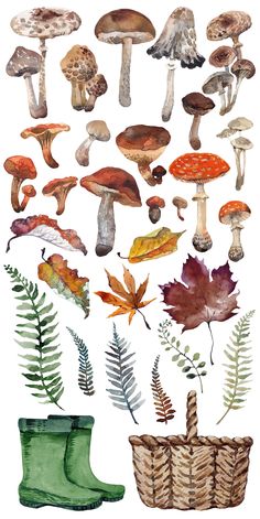 watercolor mushrooms and leaves are shown in this illustration