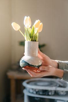 a person holding a vase with flowers in it on a table next to a potted plant