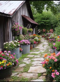 many potted flowers are lined up on the side of a building with a stone walkway